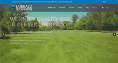 Desktop Screenshot of emeraldsodfarms.com