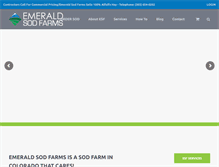 Tablet Screenshot of emeraldsodfarms.com